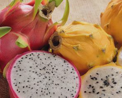Pitahaya